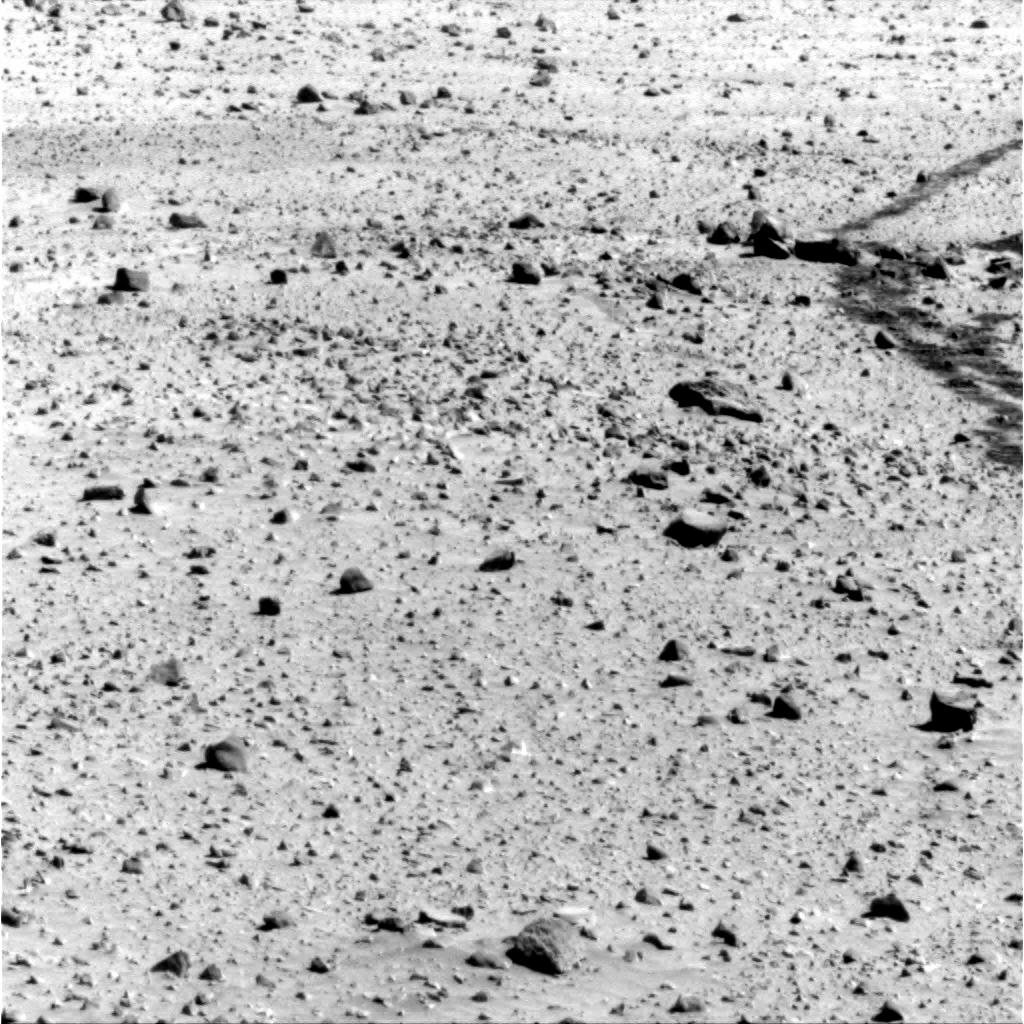 The Image