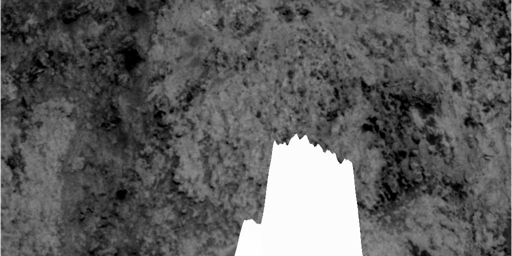 The Image