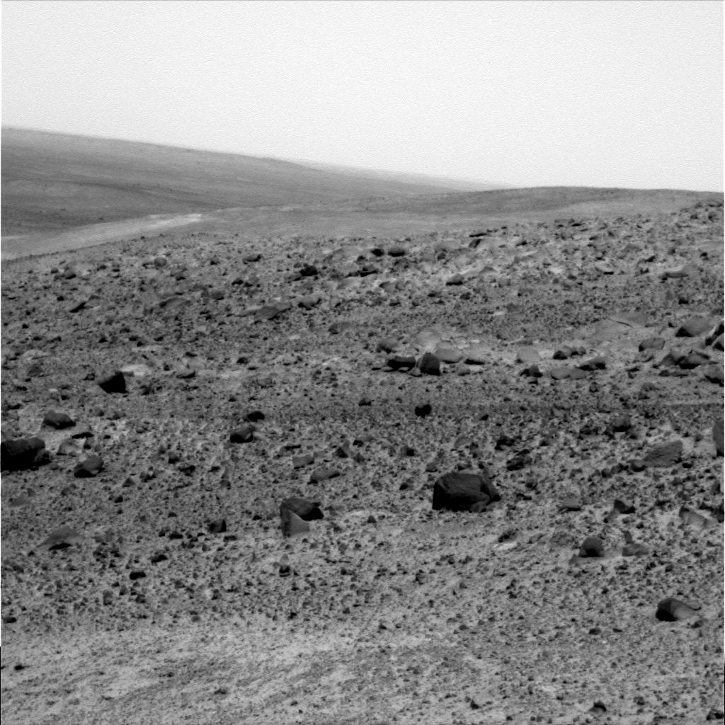 The Image