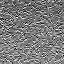 The Image