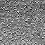The Image