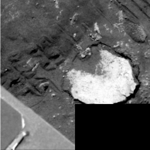 The Image