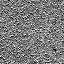 The Image