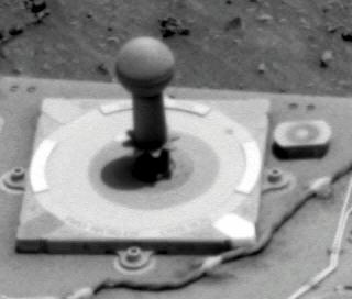 The Image