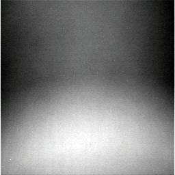 The Image