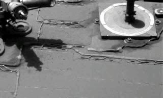 The Image