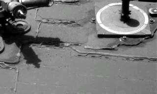 The Image