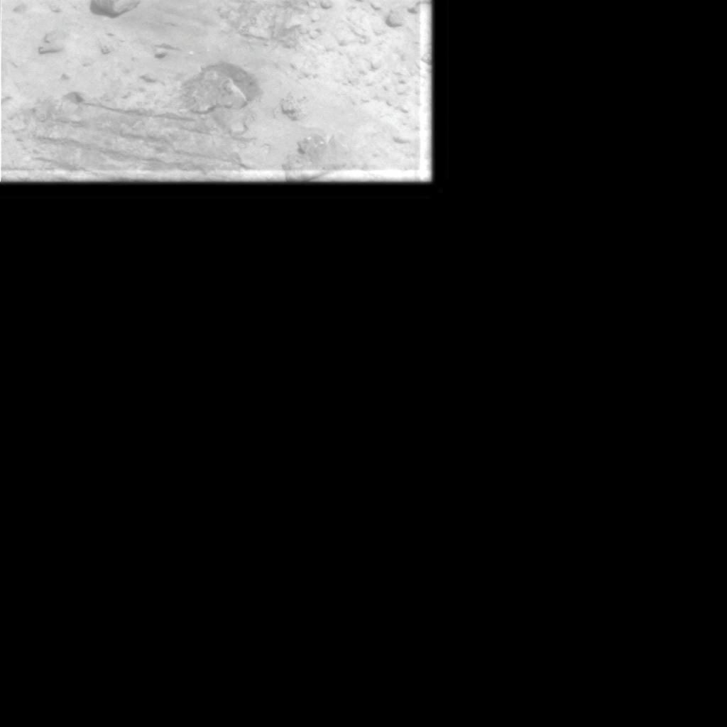 The Image