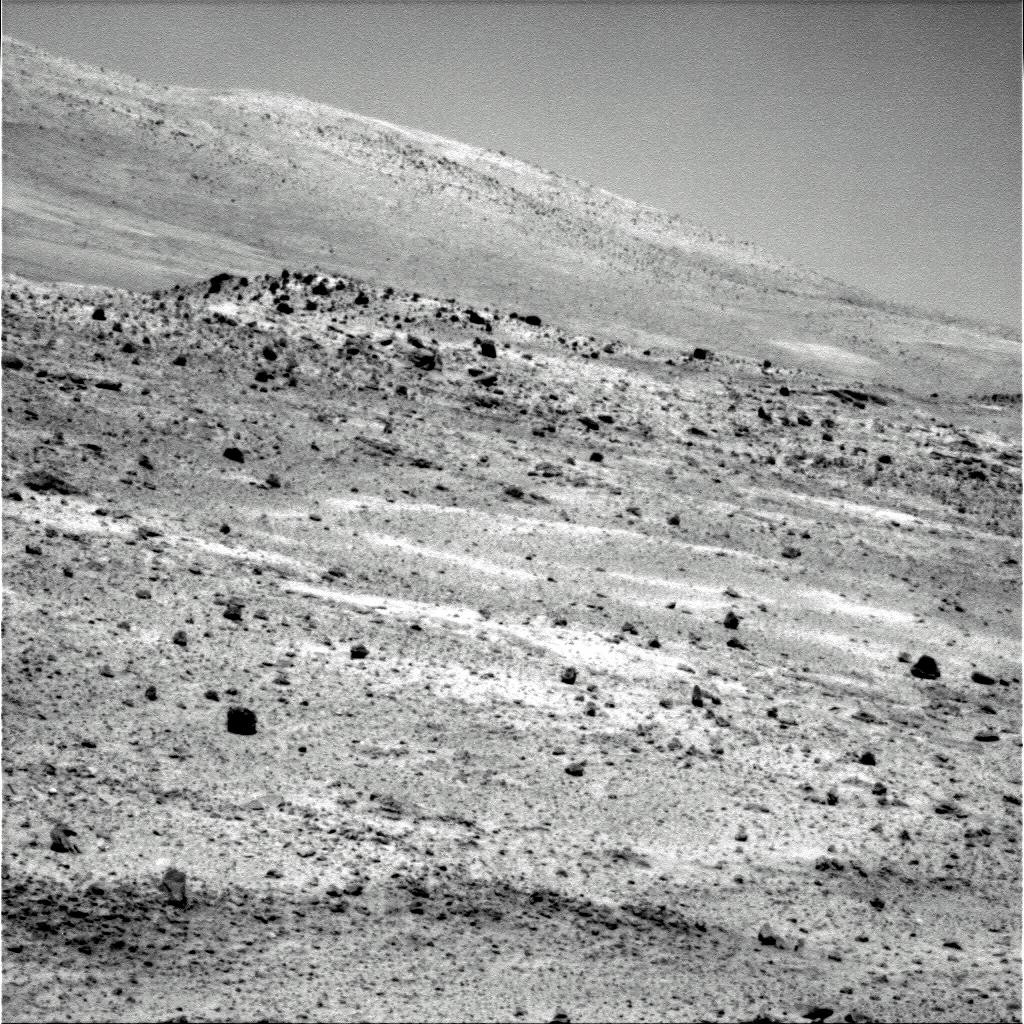 The Image