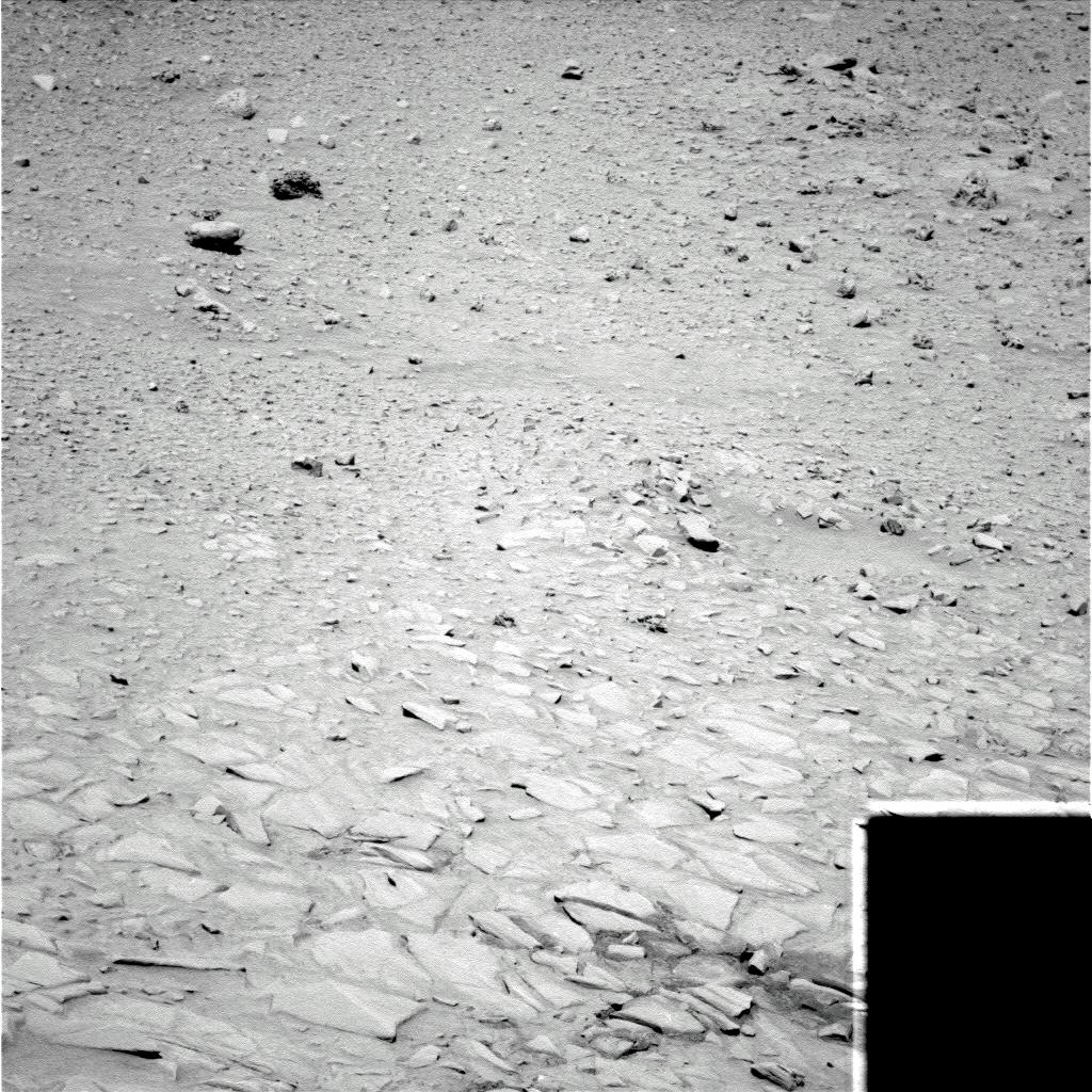 The Image