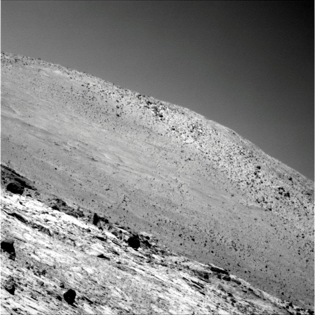 The Image