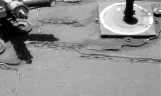 The Image