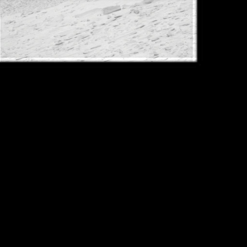 The Image