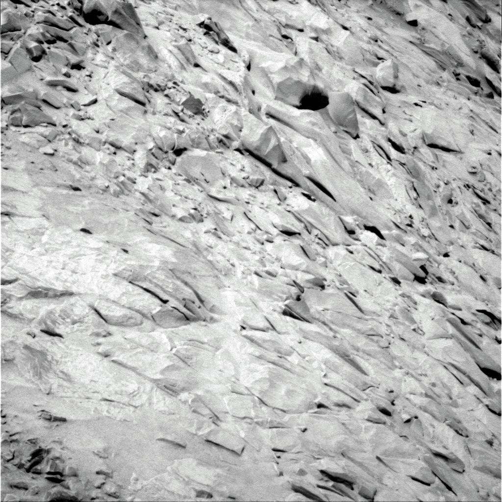 The Image