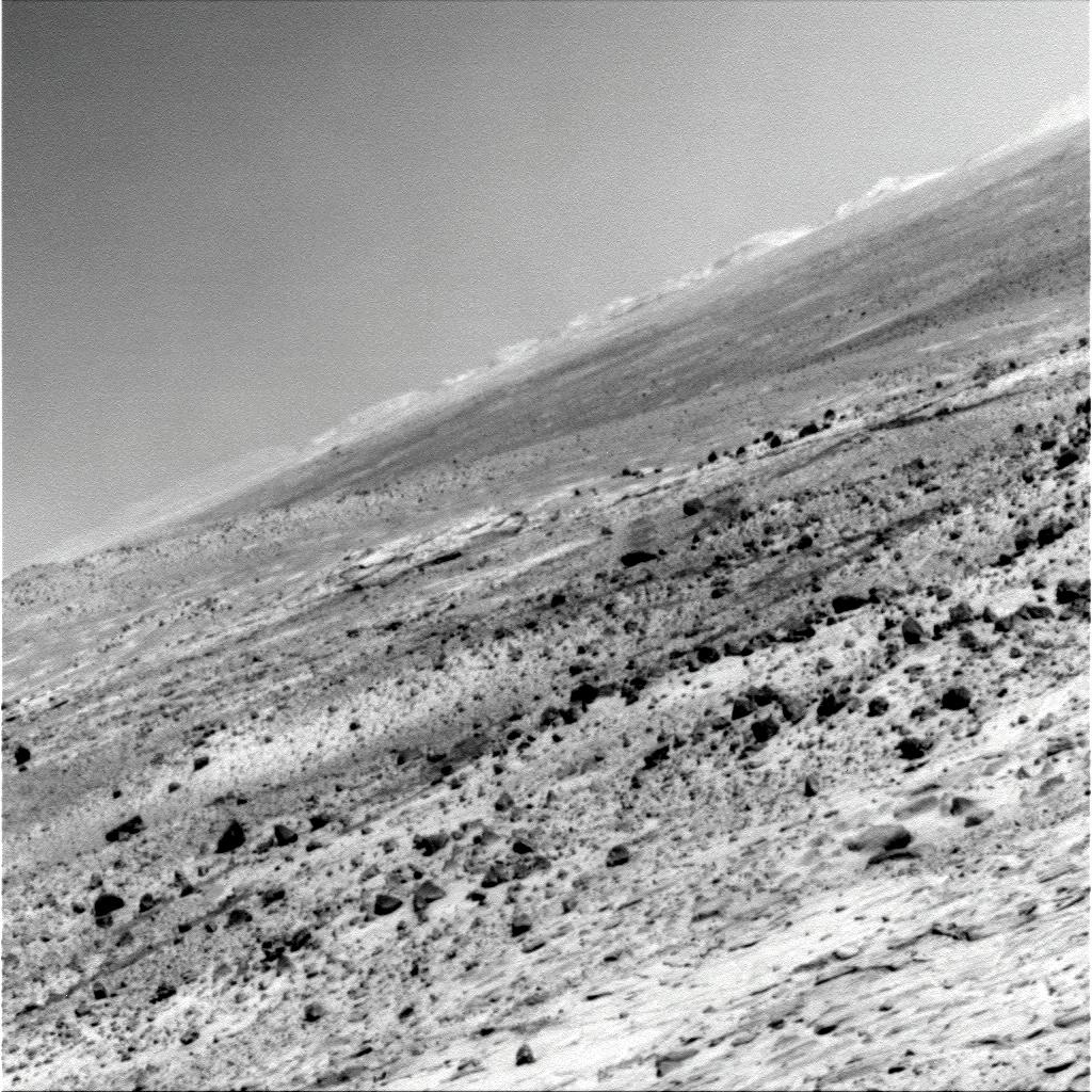 The Image