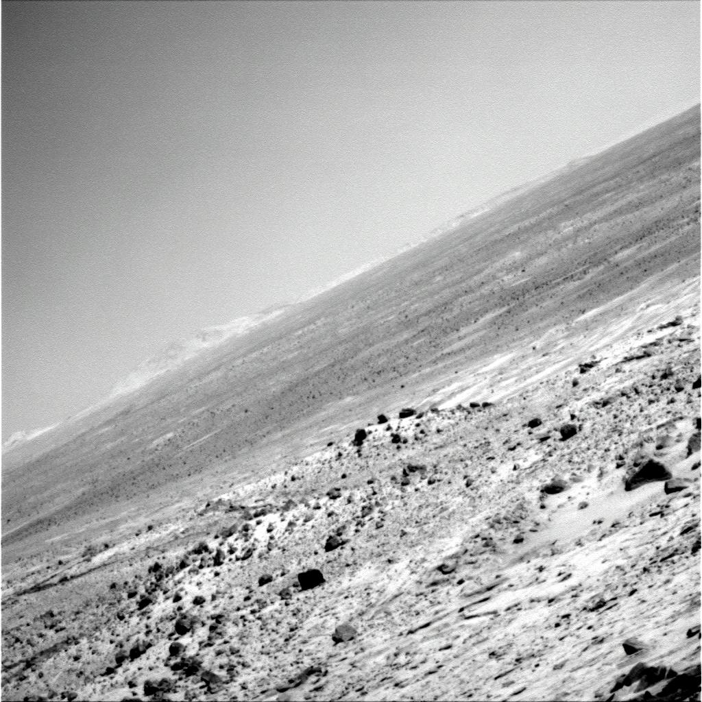 The Image