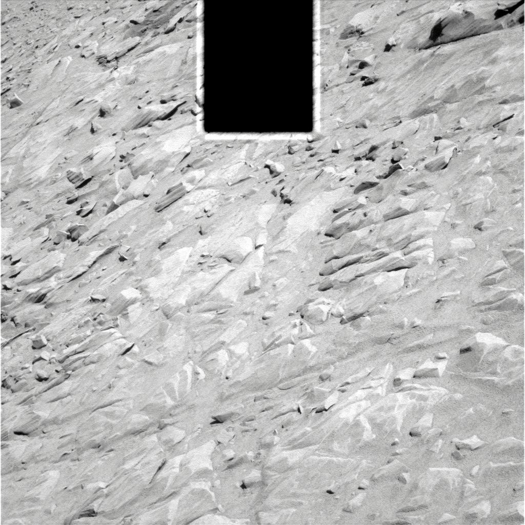 The Image