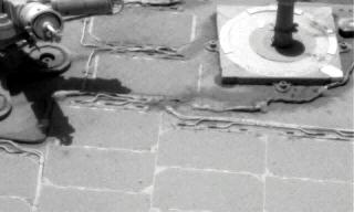 The Image