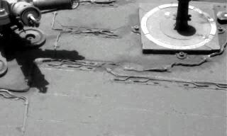 The Image