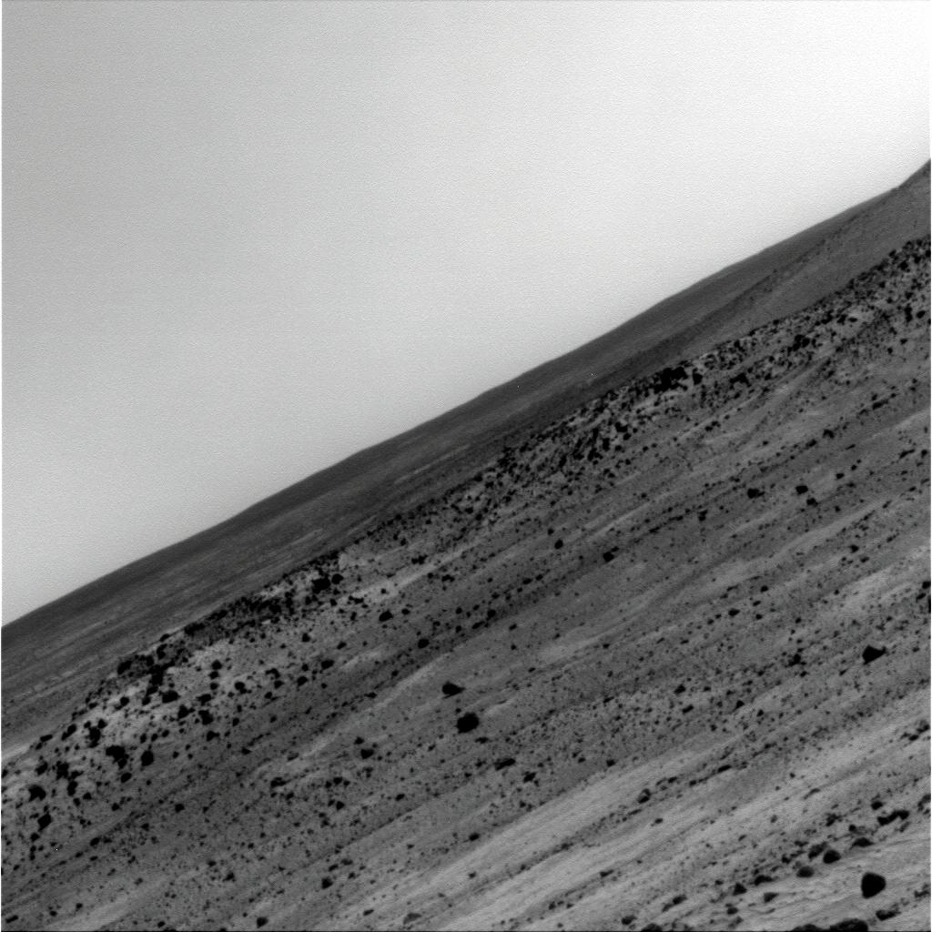 The Image