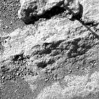 previous