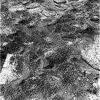 previous