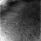 previous