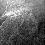 previous