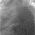 previous