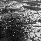previous