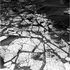 previous