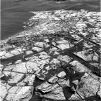 previous