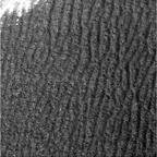 previous
