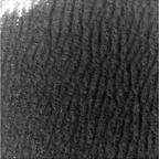 previous
