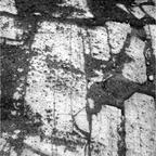 previous