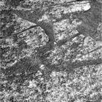 previous