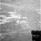 previous