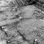 previous