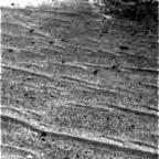 previous