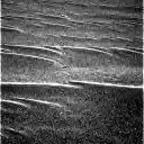 previous