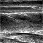 previous