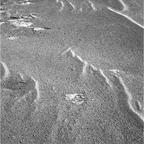 previous
