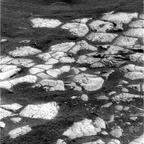 previous