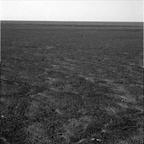 previous