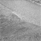 previous
