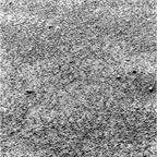 previous