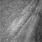 previous