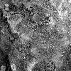 previous