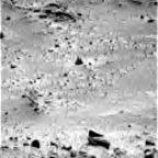previous