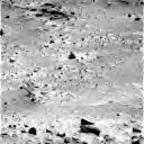 previous